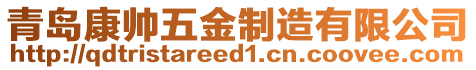 青島康帥五金制造有限公司