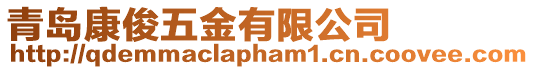 青島康俊五金有限公司