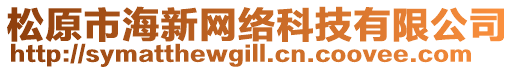 松原市海新網(wǎng)絡(luò)科技有限公司