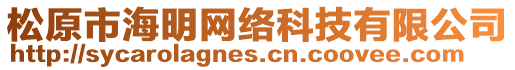 松原市海明網絡科技有限公司