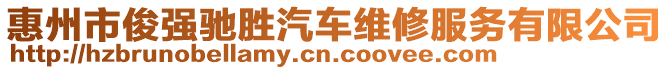 惠州市俊強(qiáng)馳勝汽車維修服務(wù)有限公司