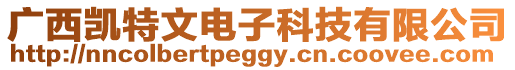 廣西凱特文電子科技有限公司