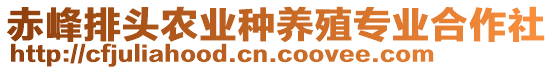 赤峰排頭農(nóng)業(yè)種養(yǎng)殖專業(yè)合作社