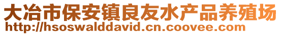 大冶市保安鎮良友水產品養殖場