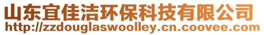 山東宜佳潔環(huán)保科技有限公司