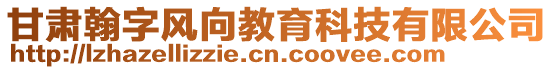 甘肅翰字風(fēng)向教育科技有限公司