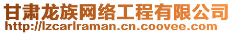 甘肅龍族網(wǎng)絡(luò)工程有限公司