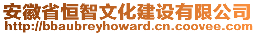 安徽省恒智文化建設(shè)有限公司