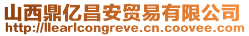 山西鼎億昌安貿易有限公司