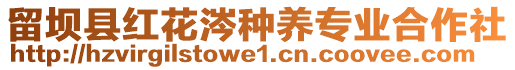 留壩縣紅花涔種養(yǎng)專(zhuān)業(yè)合作社