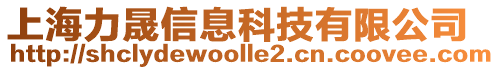 上海力晟信息科技有限公司