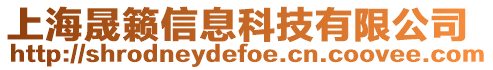 上海晟籟信息科技有限公司