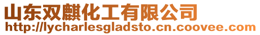 山東雙麒化工有限公司