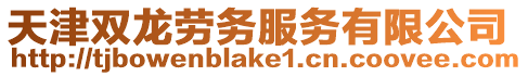 天津雙龍勞務服務有限公司