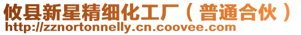 攸縣新星精細化工廠(普通合伙)