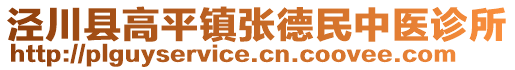 涇川縣高平鎮張德民中醫診所