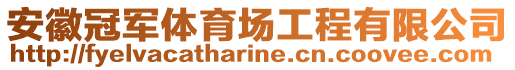 安徽冠軍體育場工程有限公司