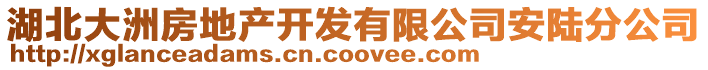 湖北大洲房地產開發有限公司安陸分公司