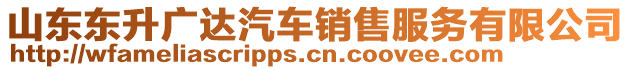 山東東升廣達汽車銷售服務有限公司