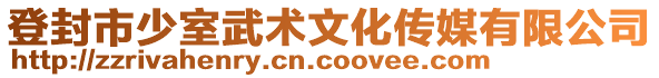 登封市少室武術文化傳媒有限公司