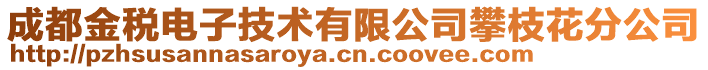 成都金稅電子技術(shù)有限公司攀枝花分公司