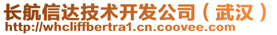 長航信達(dá)技術(shù)開發(fā)公司（武漢）