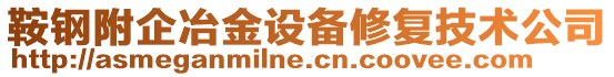 鞍鋼附企冶金設(shè)備修復(fù)技術(shù)公司