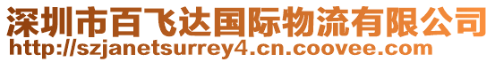 深圳市百飛達國際物流有限公司