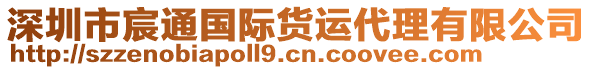 深圳市宸通國(guó)際貨運(yùn)代理有限公司