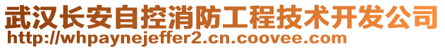 武漢長安自控消防工程技術(shù)開發(fā)公司