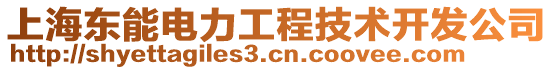 上海東能電力工程技術(shù)開發(fā)公司