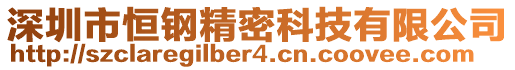 深圳市恒鋼精密科技有限公司