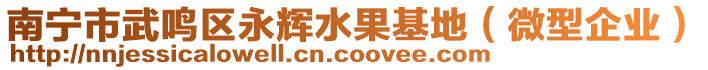 南寧市武鳴區(qū)永輝水果基地（微型企業(yè)）