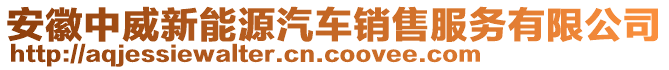 安徽中威新能源汽車銷售服務(wù)有限公司