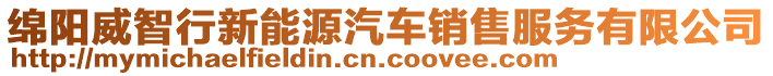 綿陽威智行新能源汽車銷售服務有限公司