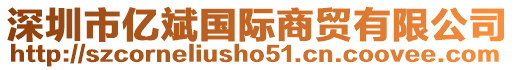 深圳市億斌國際商貿(mào)有限公司