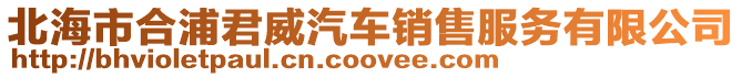 北海市合浦君威汽車銷售服務(wù)有限公司