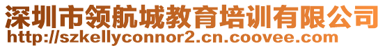 深圳市領(lǐng)航城教育培訓(xùn)有限公司