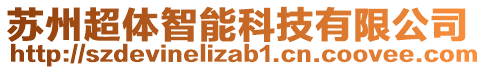 蘇州超體智能科技有限公司