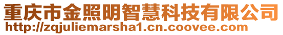 重慶市金照明智慧科技有限公司