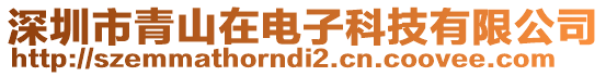 深圳市青山在電子科技有限公司