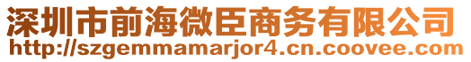 深圳市前海微臣商务有限公司