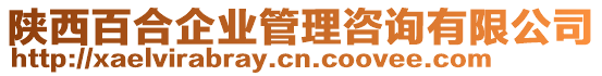 陕西百合企业管理咨询有限公司