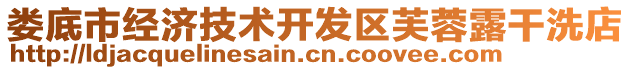 婁底市經濟技術開發區芙蓉露干洗店