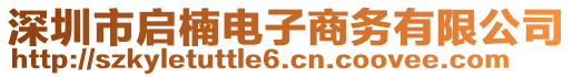 深圳市啟楠電子商務有限公司