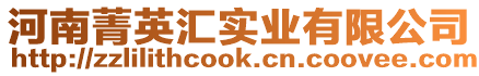河南菁英匯實業(yè)有限公司