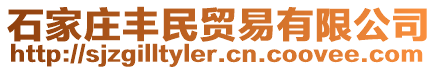 石家莊豐民貿易有限公司