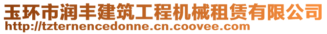 玉環市潤豐建筑工程機械租賃有限公司