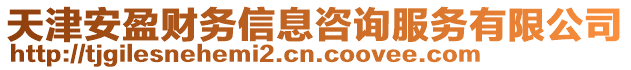 天津安盈財務信息咨詢服務有限公司