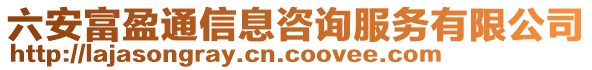 六安富盈通信息咨詢服務有限公司